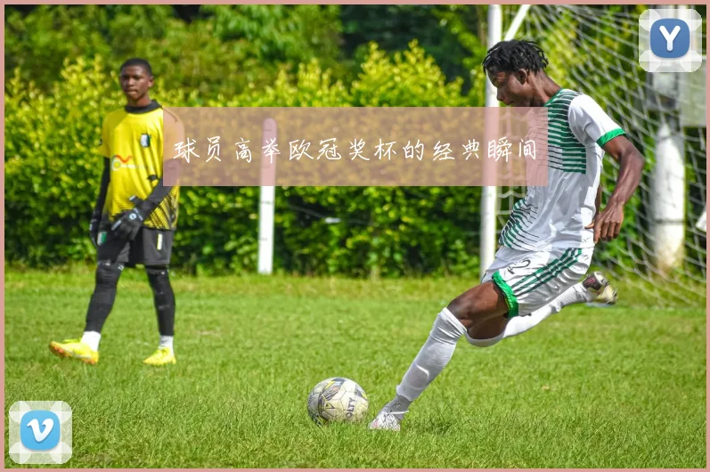 球员高举欧冠奖杯的经典瞬间